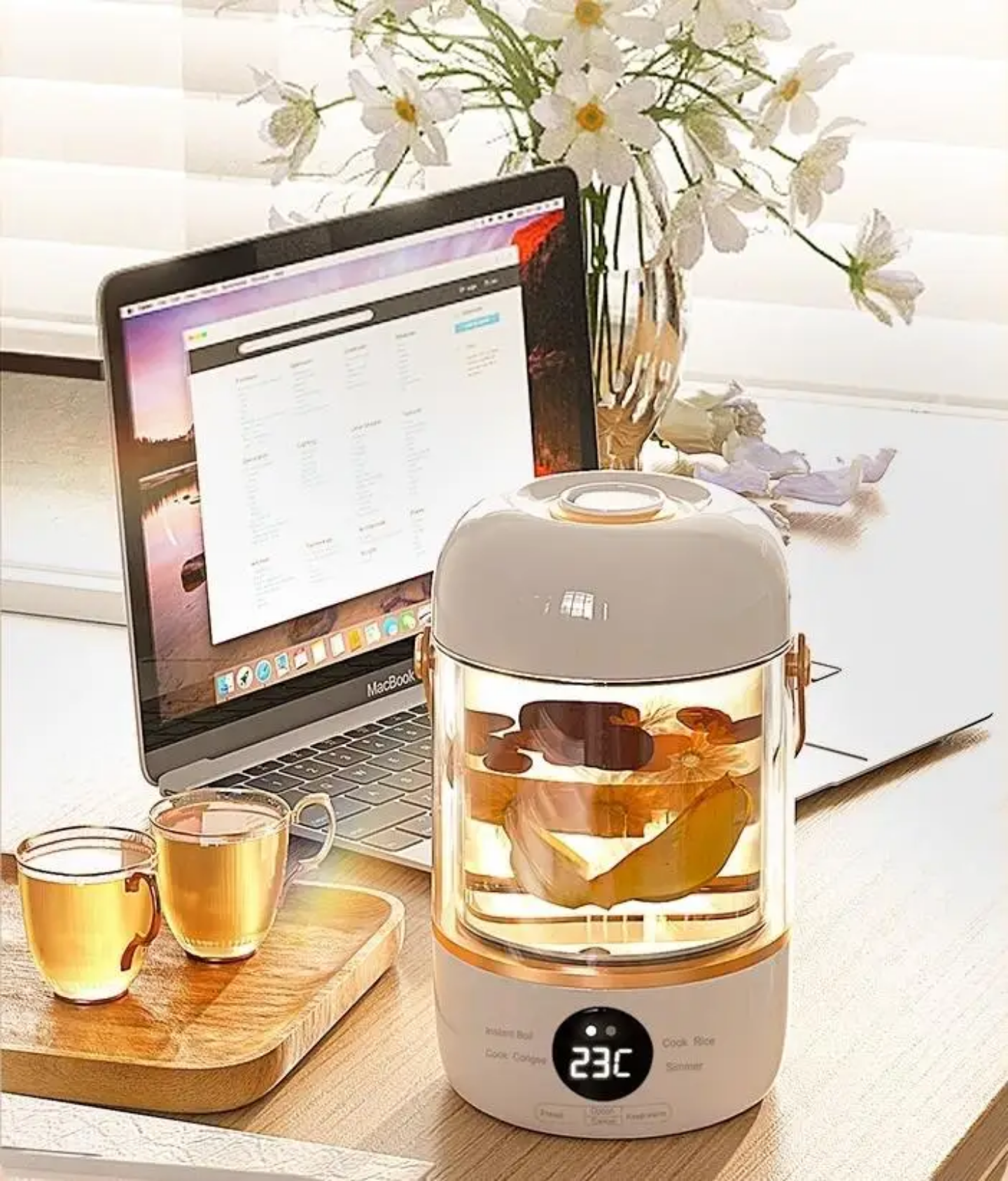 Multi-Functional Smart Electric Health Stew Pot & Portable Slow Cooker