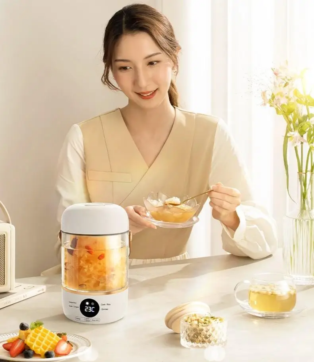 Multi-Functional Smart Electric Health Stew Pot & Portable Slow Cooker