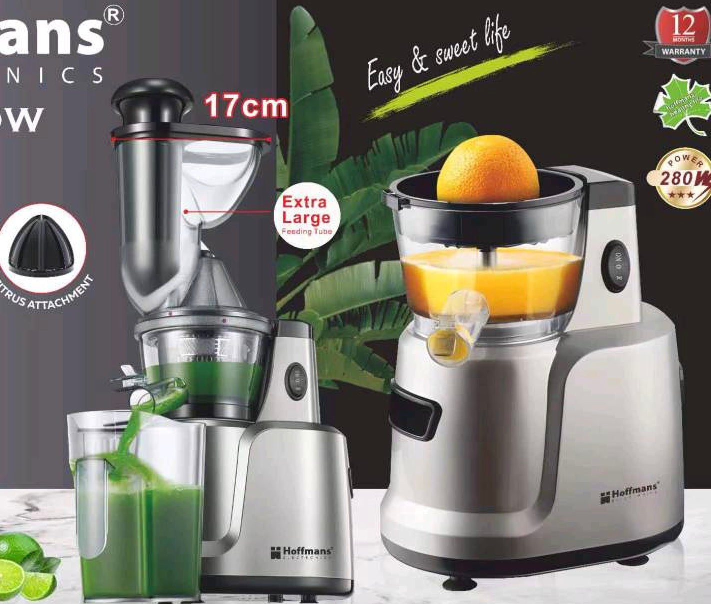 Hoffmans Electronics cold press juicer