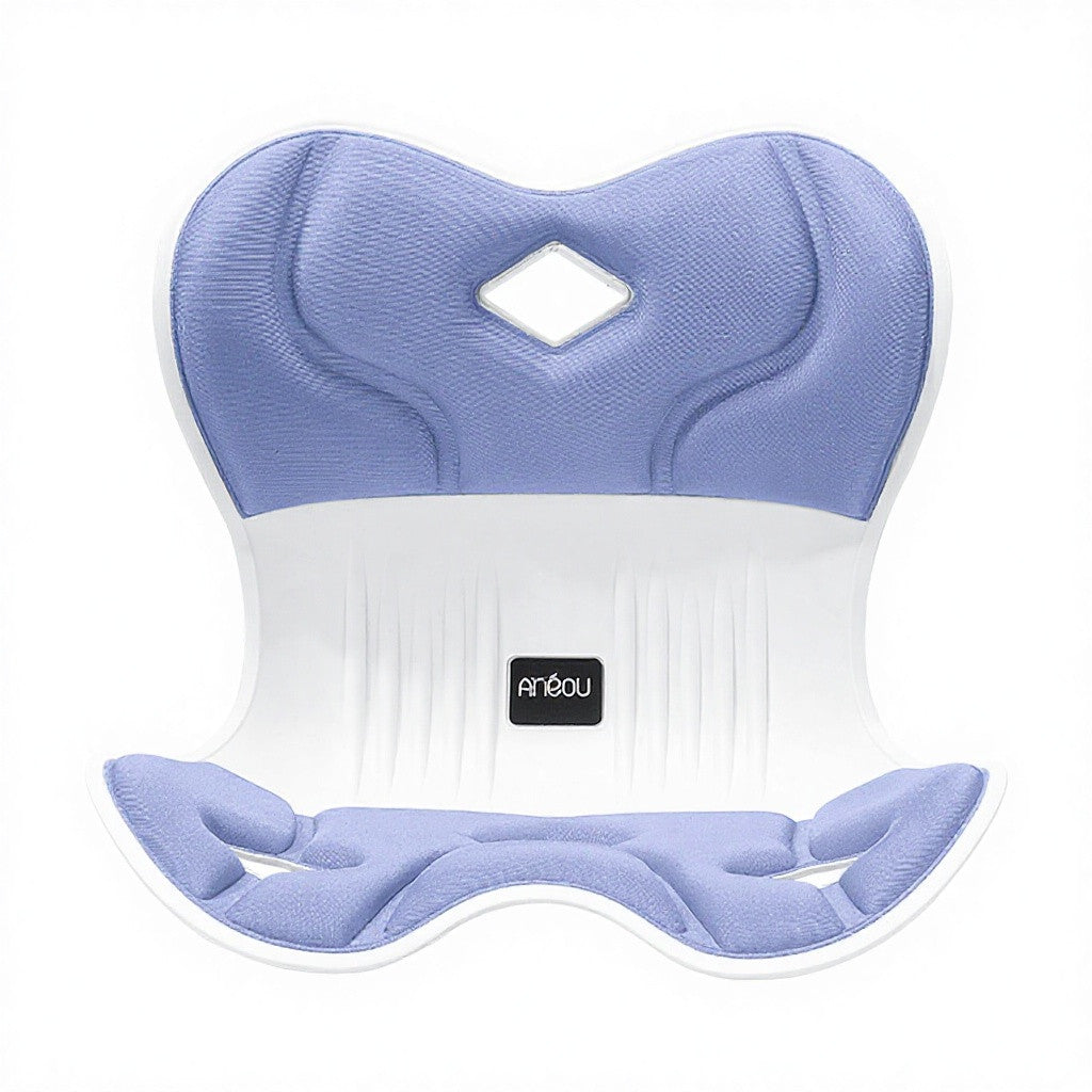Ergonomic chair back and seat support system