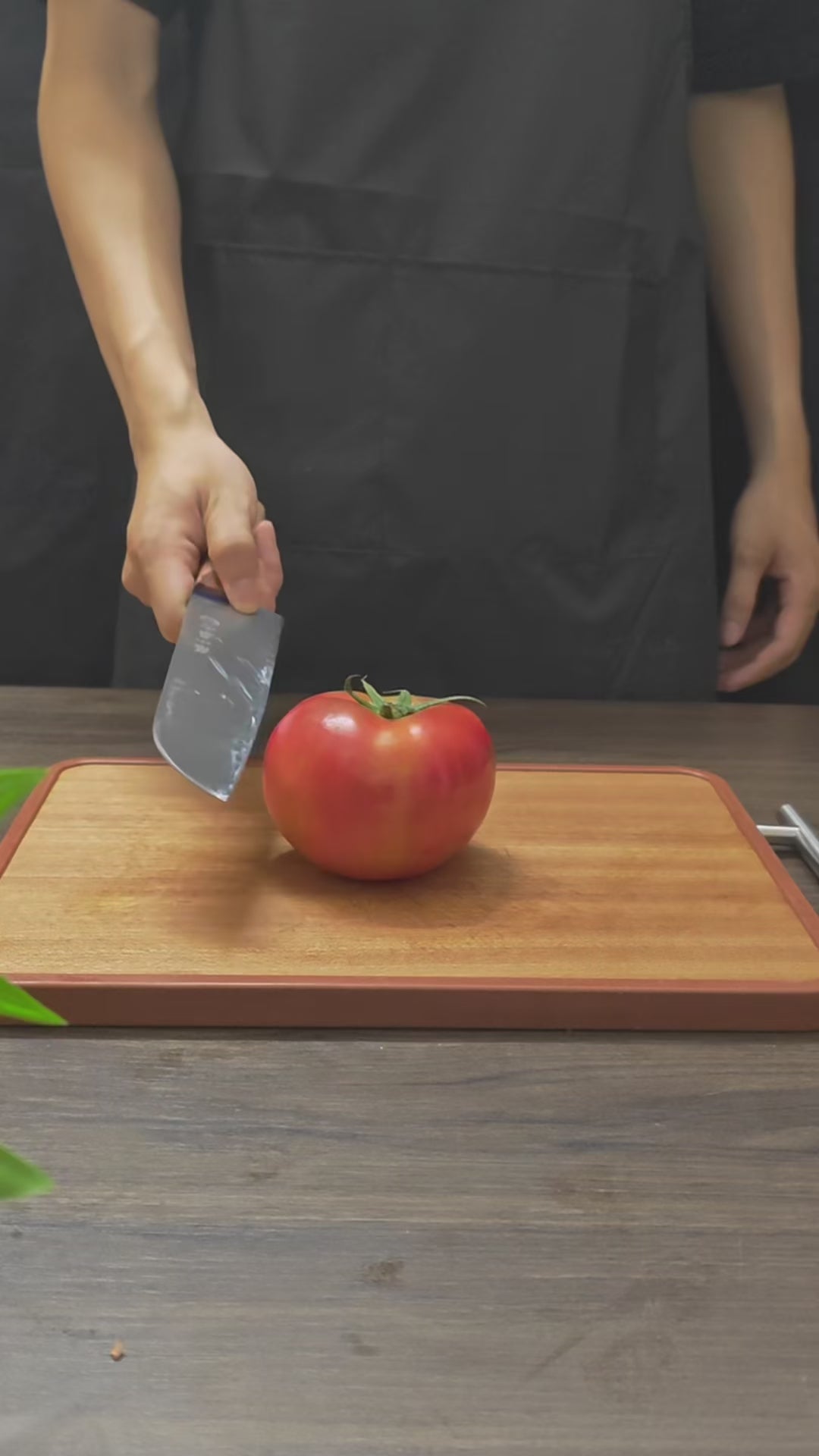 Electric Multi-Stage Kitchen Knife Sharpener with Precision Slots